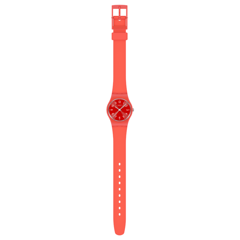 NOTES OF CORAL