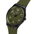 HINT OF PINE thumbnail