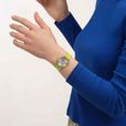 PARADISE CANOPY thumbnail