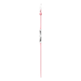 ROSE MOIRE thumbnail