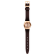 BROWNEE thumbnail